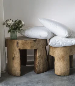 Camargue licht kussen