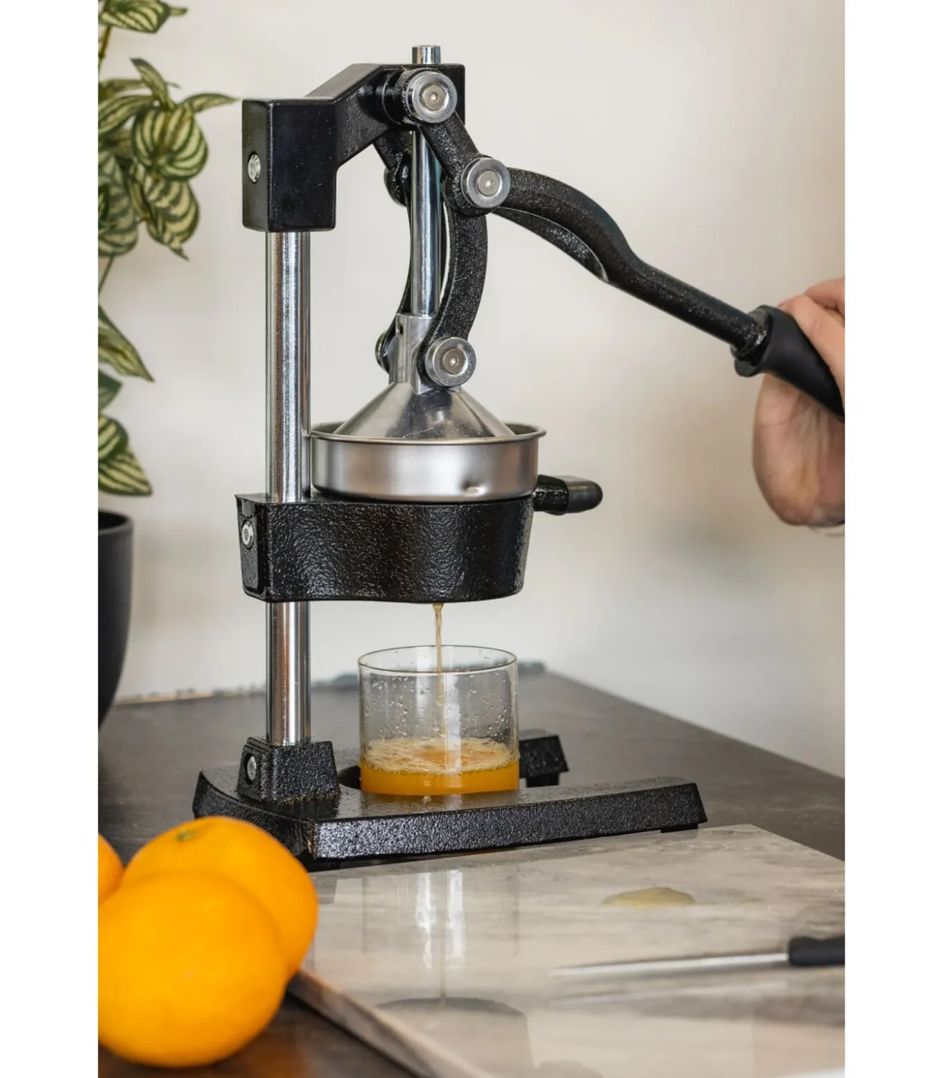 Citruspers - Gietijzer - Hevelmodel - Zwart