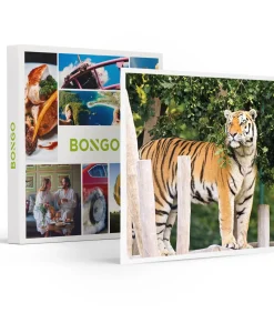 Dagje Bellewaerde voor 1 persoon - Actie