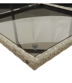 13-delige Tuinset met kussens poly rattan grijs