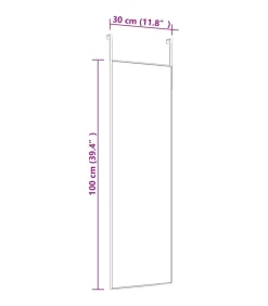 Deurspiegel 30x100 cm glas en aluminium goudkleurig
