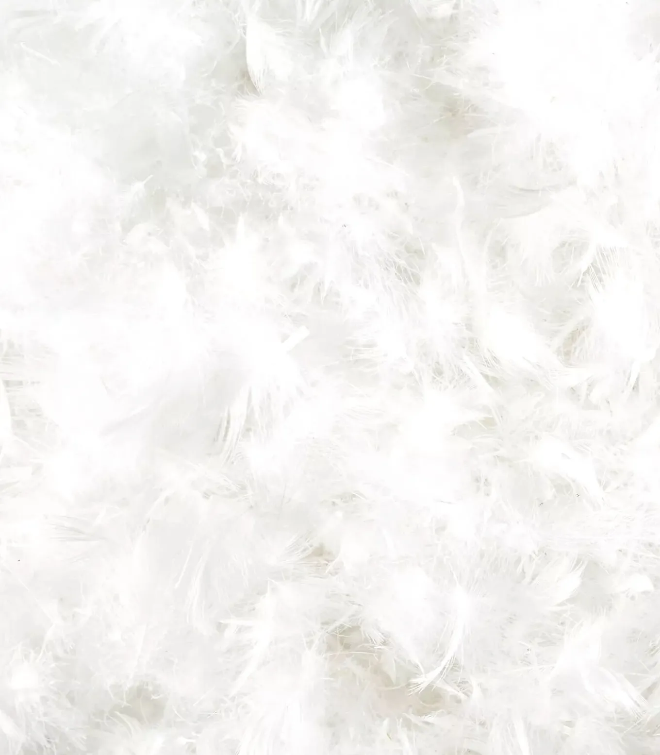 Donsvulling Dekbed - Woodek Luxury Bedding