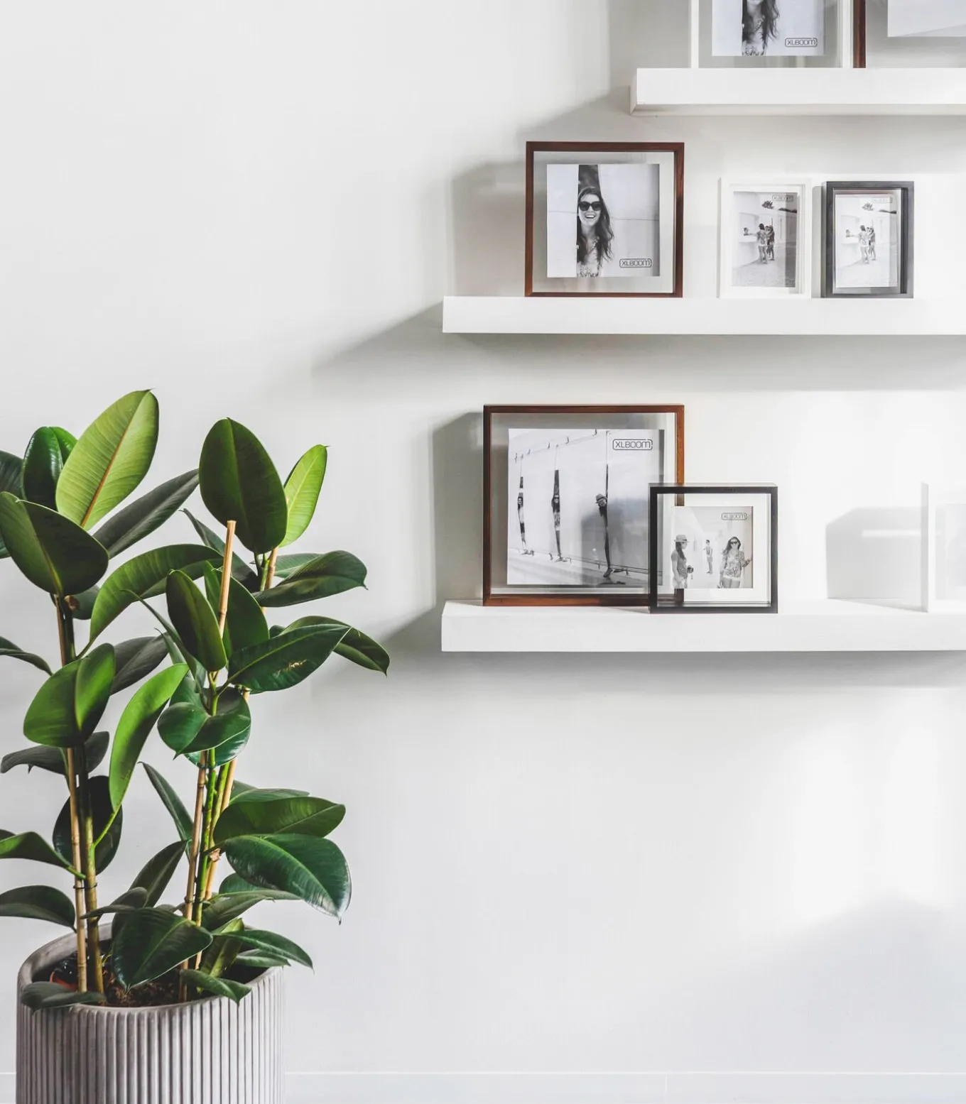 FLOATING Box 20 x 25 wit