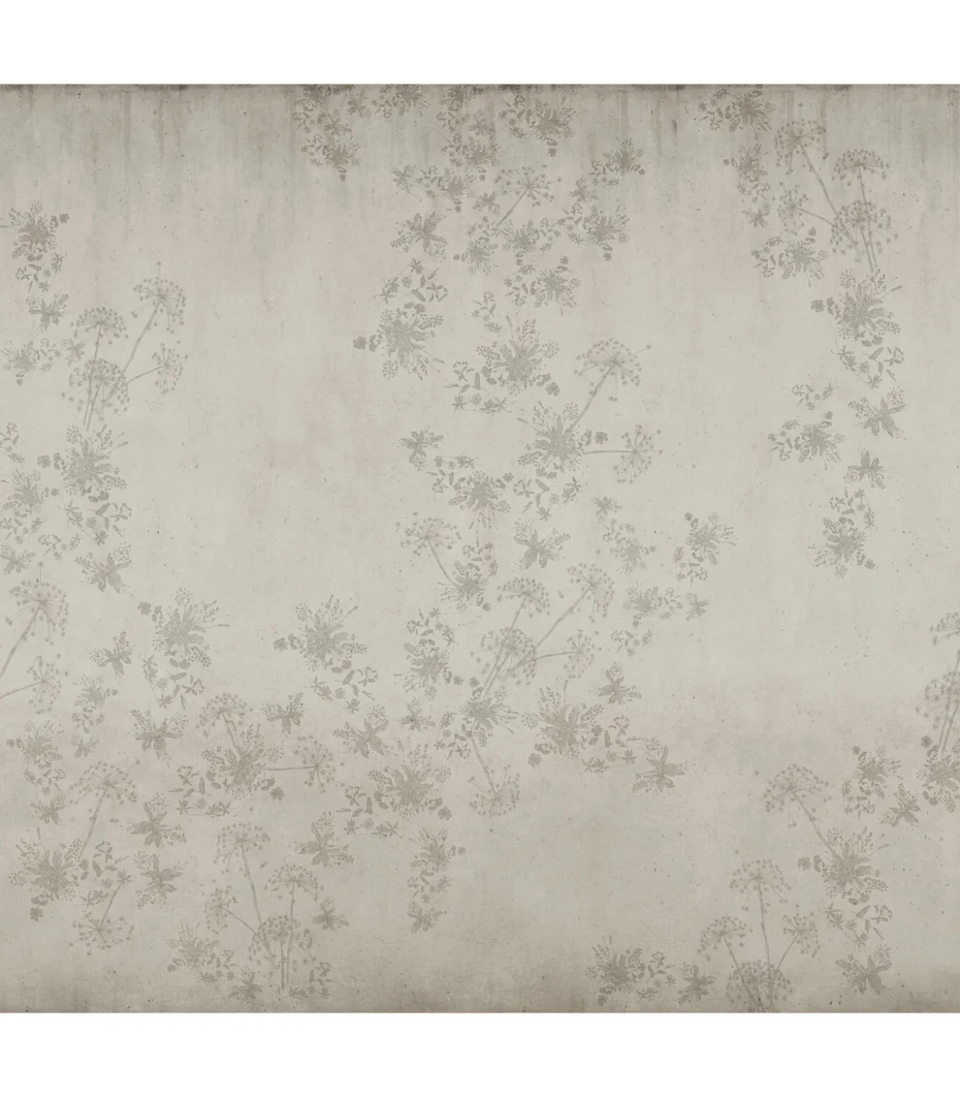 Fotobehang Wild Flower Concrete