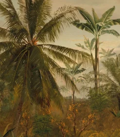 Fototapete Dschungel Morgensonne