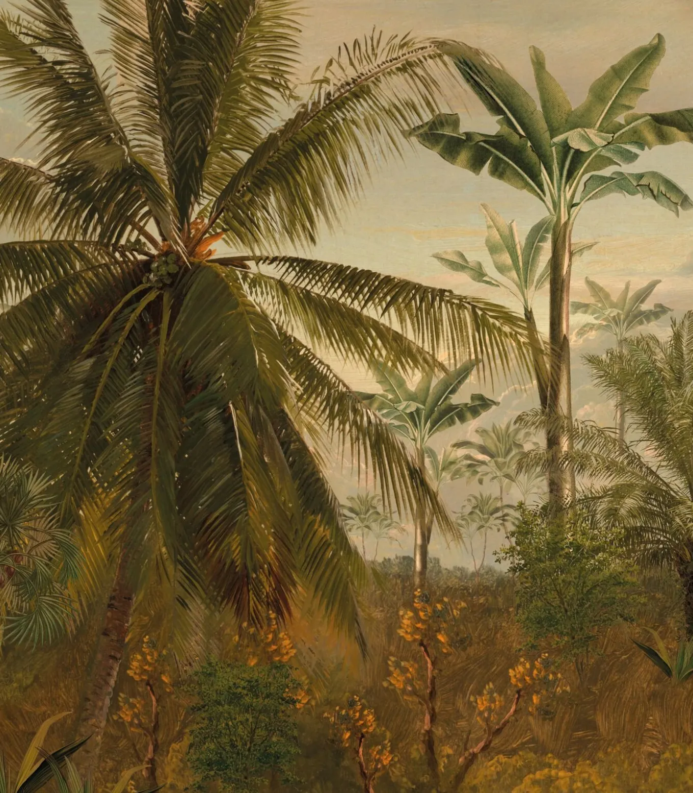 Fototapete Dschungel Morgensonne