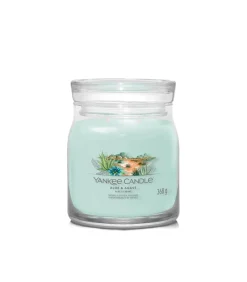 Geurkaars Aloe & Agave Signature Medium Jar
