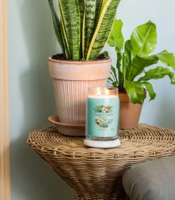 Geurkaars Aloe & Agave Signature Large Jar