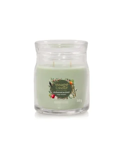 Geurkaars Enchanted Orchard Signature Medium Jar