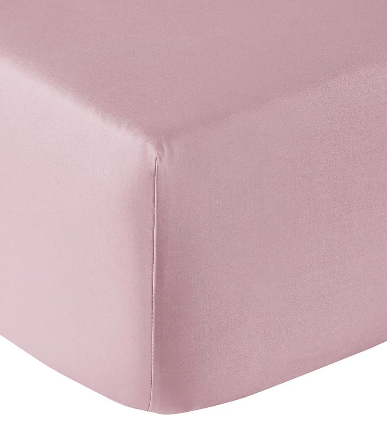 HoesLaken | Vexin · Violine