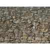 Komar Fotobehang Stone Wall 368x254 cm 8-727