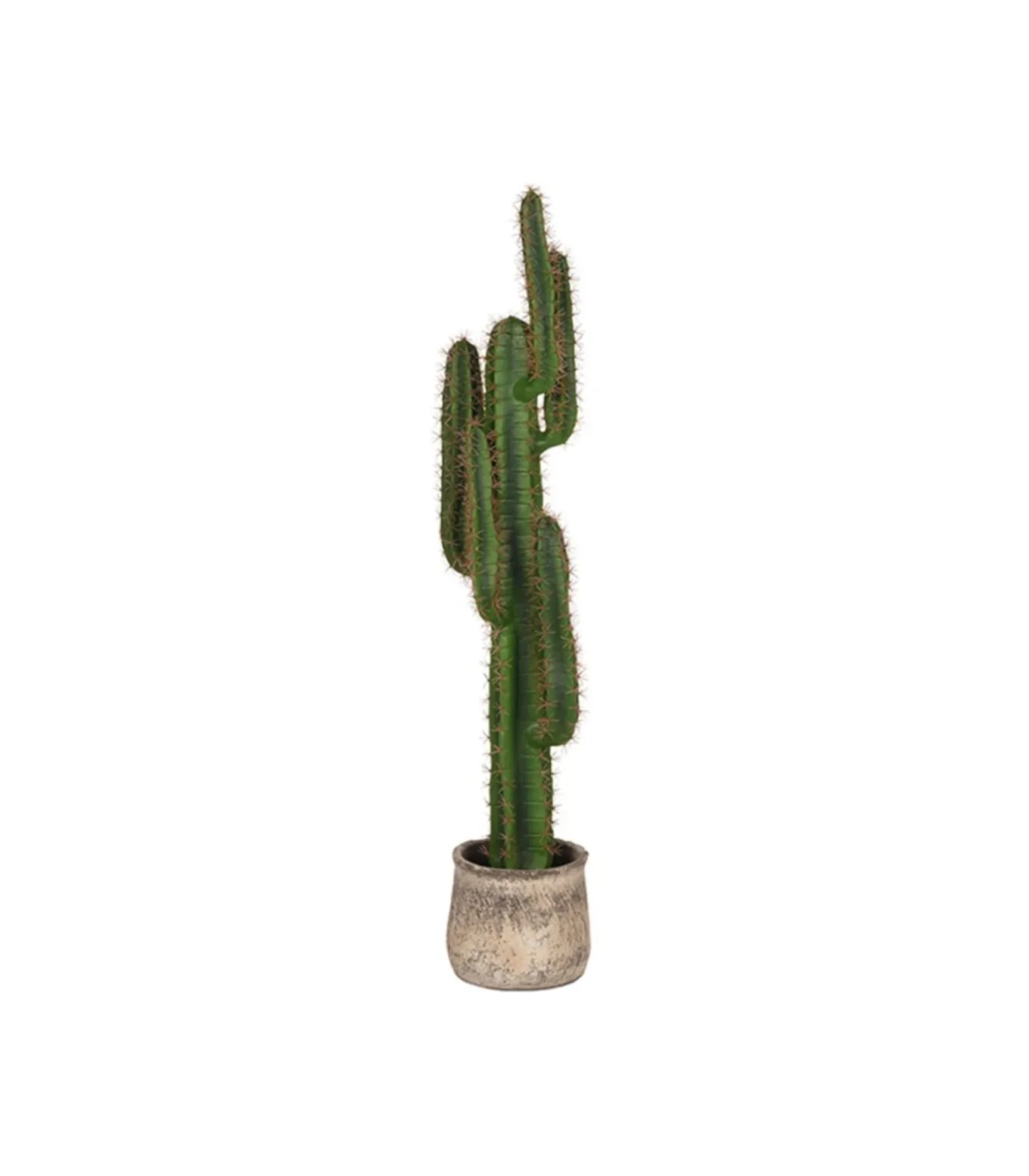 Kunstplant Cactus 30x25x130 cm