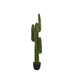 Kunstplant Cactus 30x25x130 cm