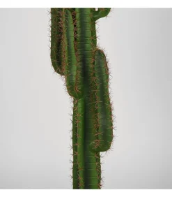 Kunstplant Cactus 30x25x130 cm