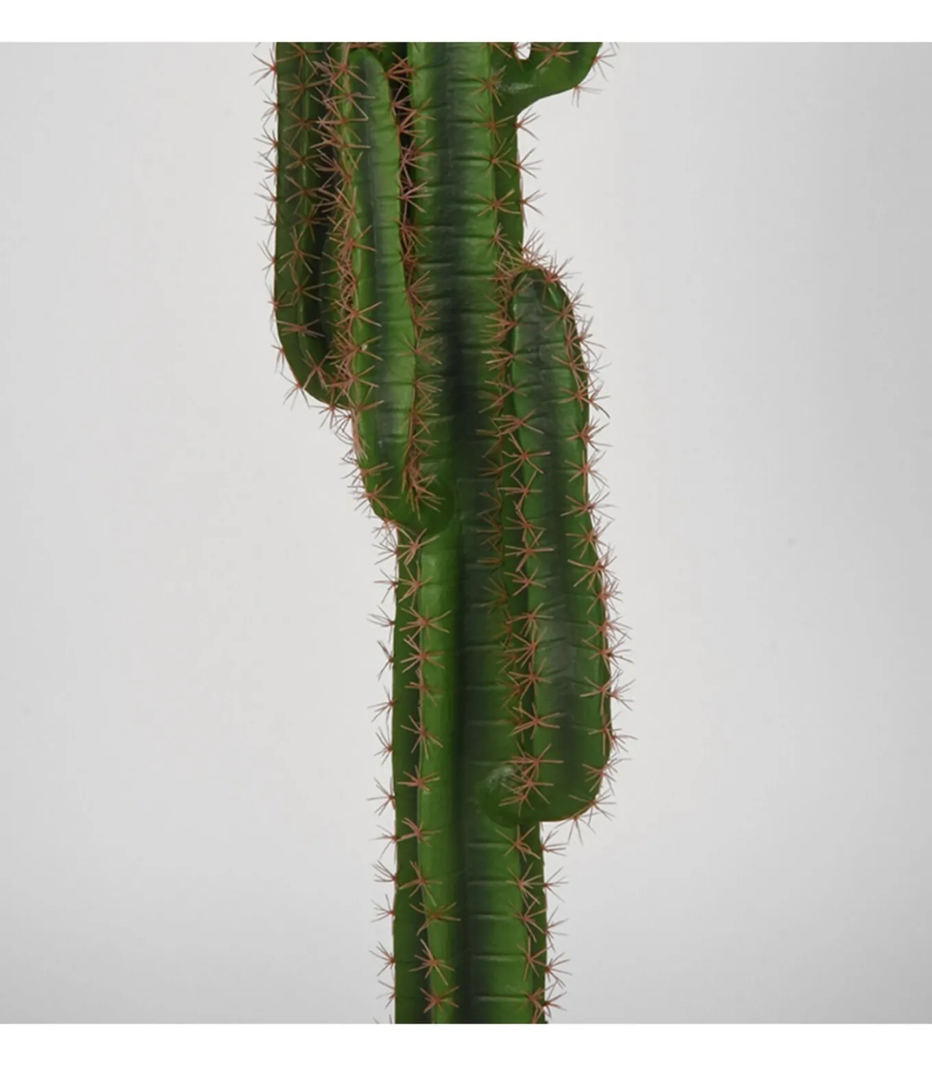 Kunstplant Cactus 30x25x130 cm
