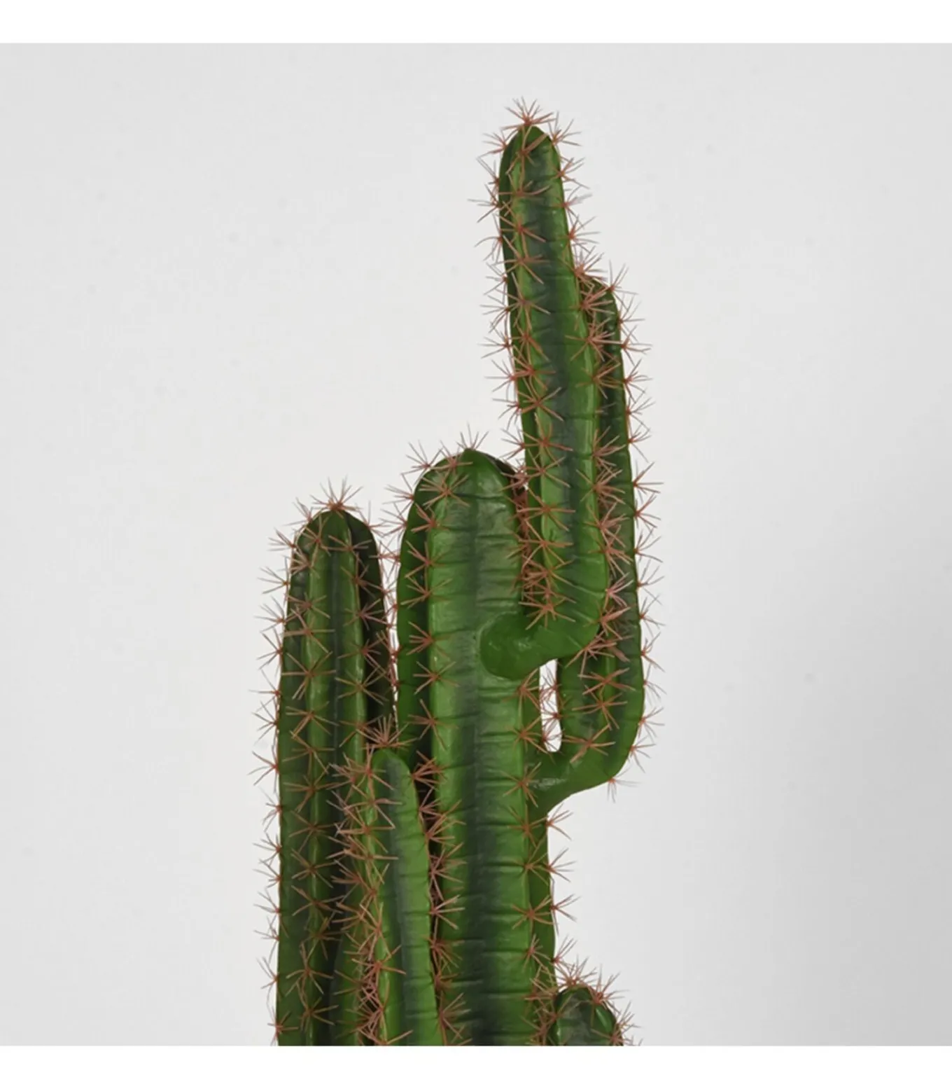Kunstplant Cactus 30x25x130 cm