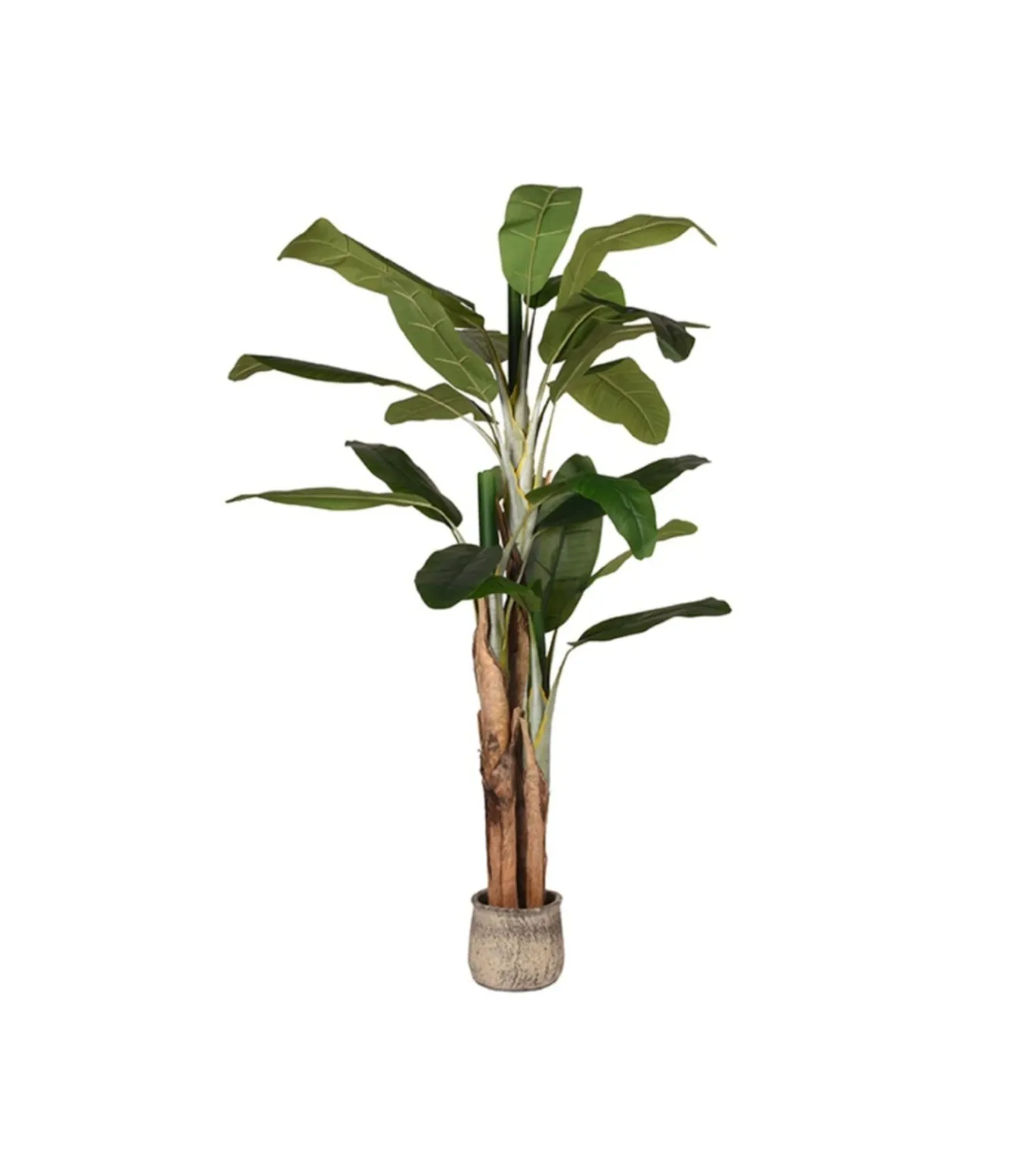 Kunstplant Musa 110x110x180 cm