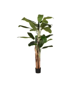 Kunstplant Musa 110x110x180 cm