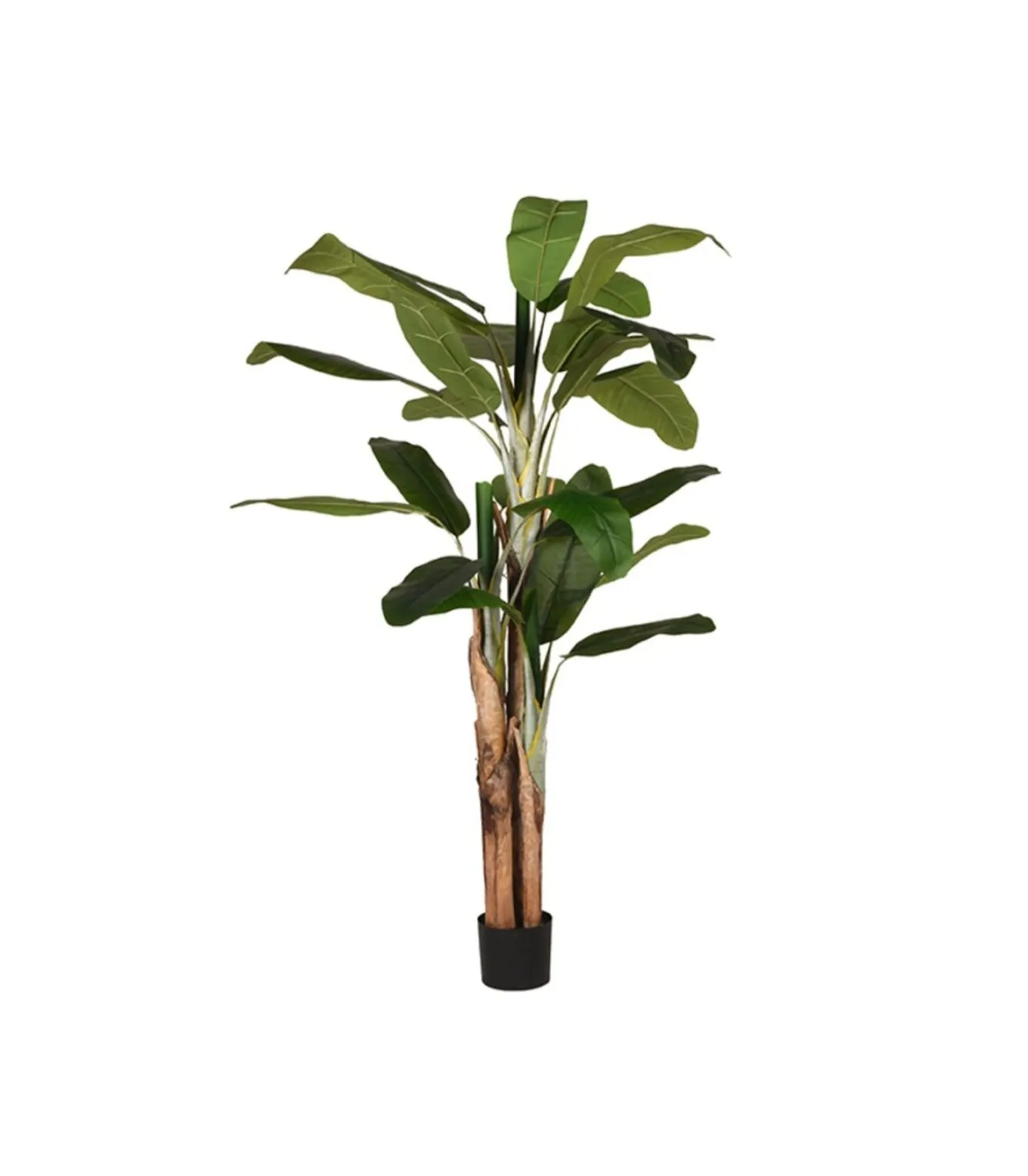 Kunstplant Musa 110x110x180 cm