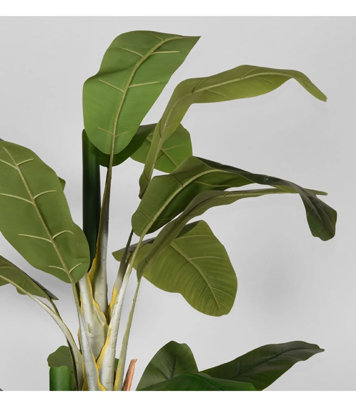 Kunstplant Musa 110x110x180 cm