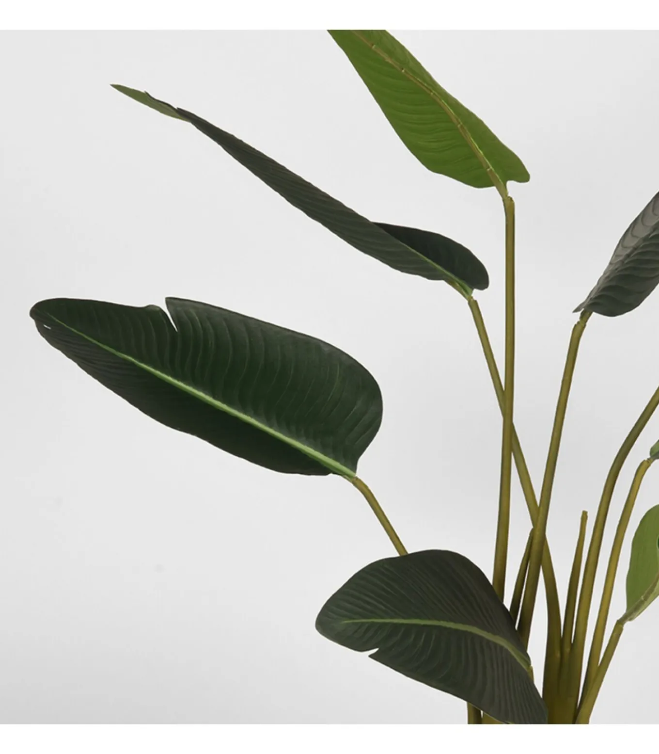 Kunstplant Strelitzia 70x70x100 cm