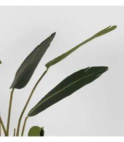 Kunstplant Strelitzia 70x70x100 cm
