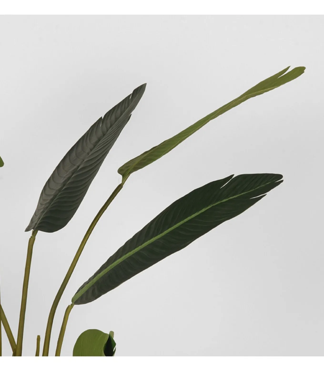 Kunstplant Strelitzia 70x70x100 cm