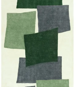 Modern handgetuft wollen tapijt CUTTY