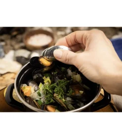 Mosselbestek 2-delig