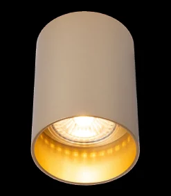 Nuo Fix - Plafondspot - Goud