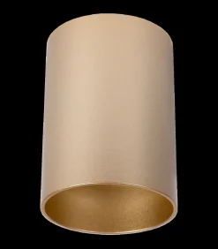 Nuo Fix - Plafondspot - Goud