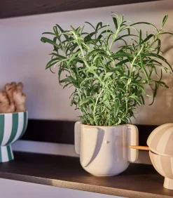 Snoepdoos van steengoed