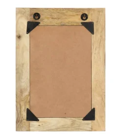 Spiegel handgeschilderd 40x55 cm massief mangohout