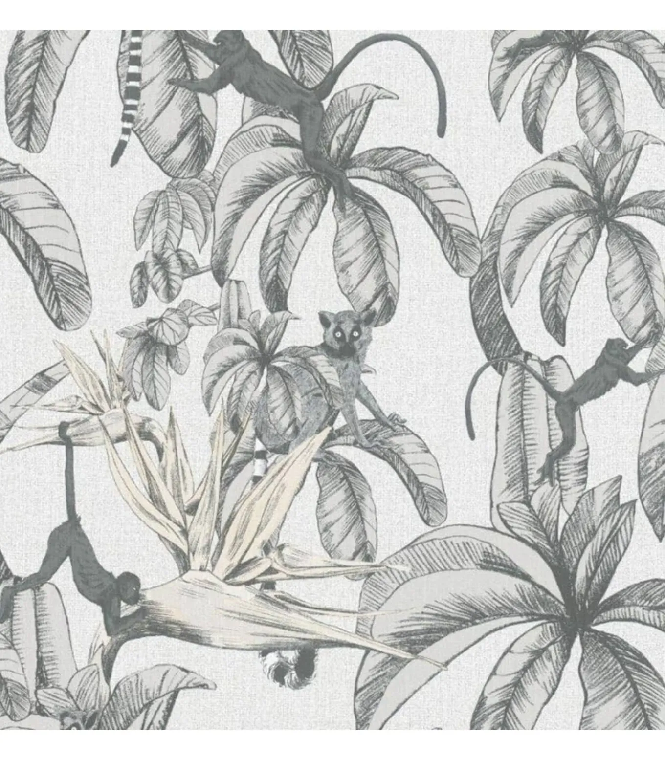 Topchic Behang Monkey Jungle Leaves grijs en zwart