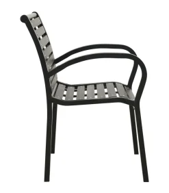 Tuinstoelen 2 st staal en HKC zwart