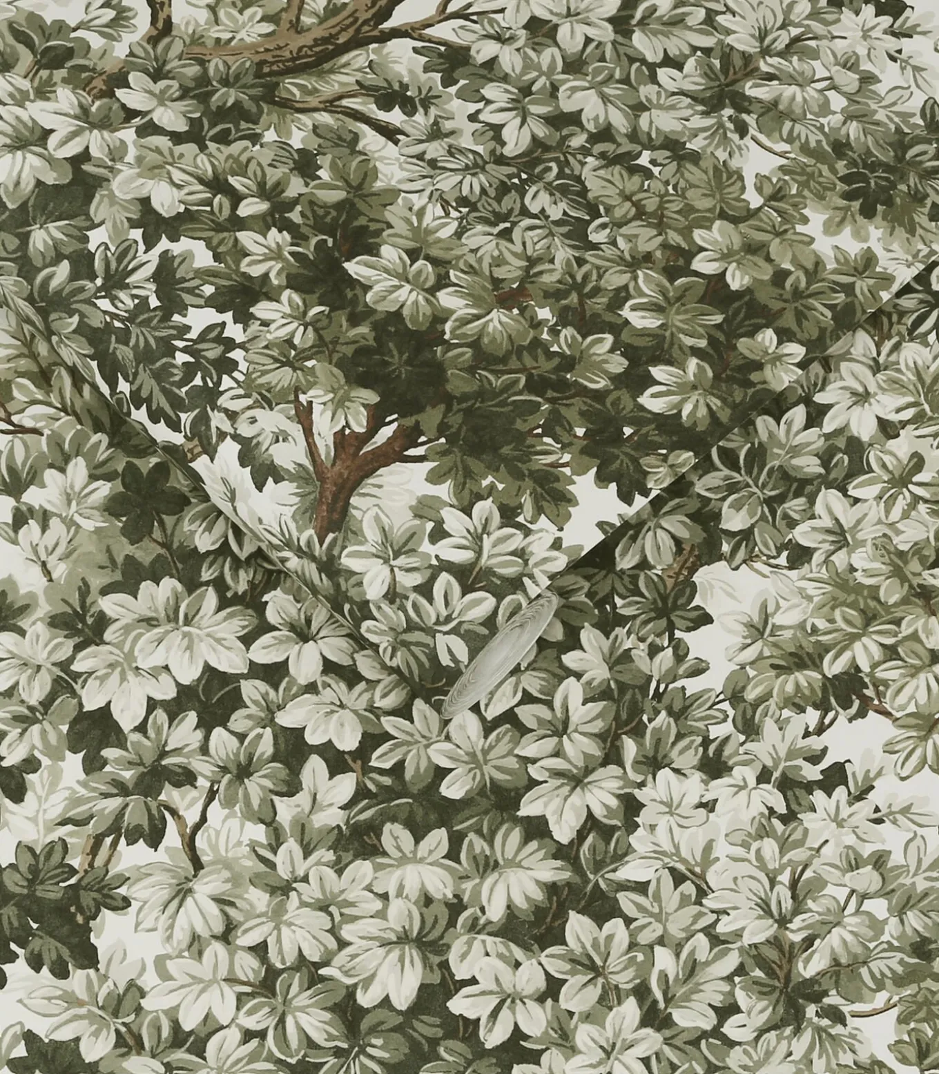 Vliesbehang Coppice Sage