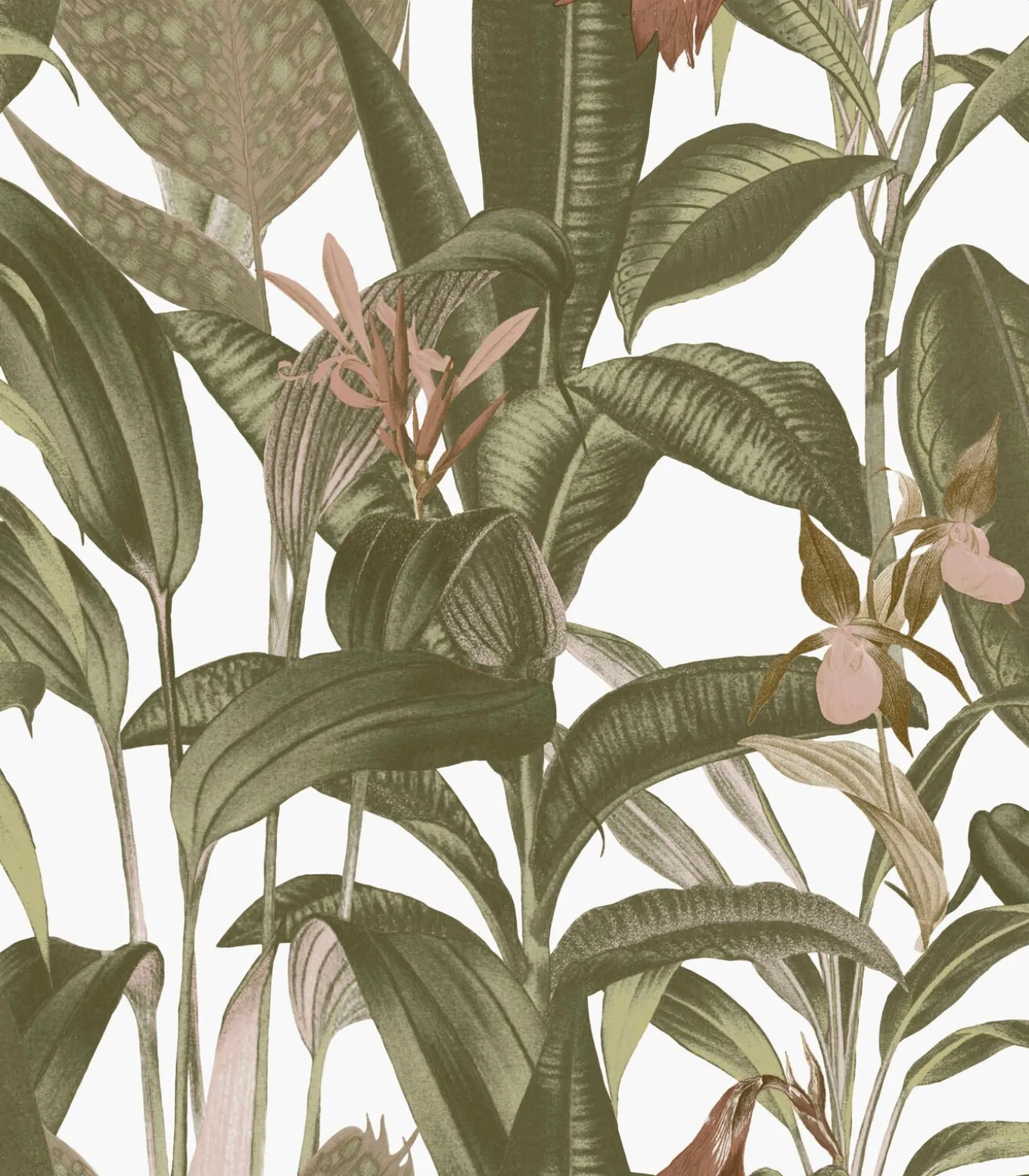 Vliestapete Tropische Bltter Wei