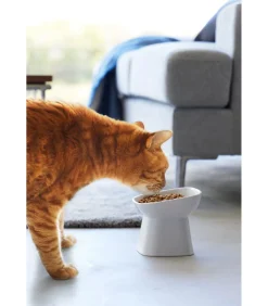 Voerbak Kat / Hond - Schuin - Keramisch - Tower - Wit