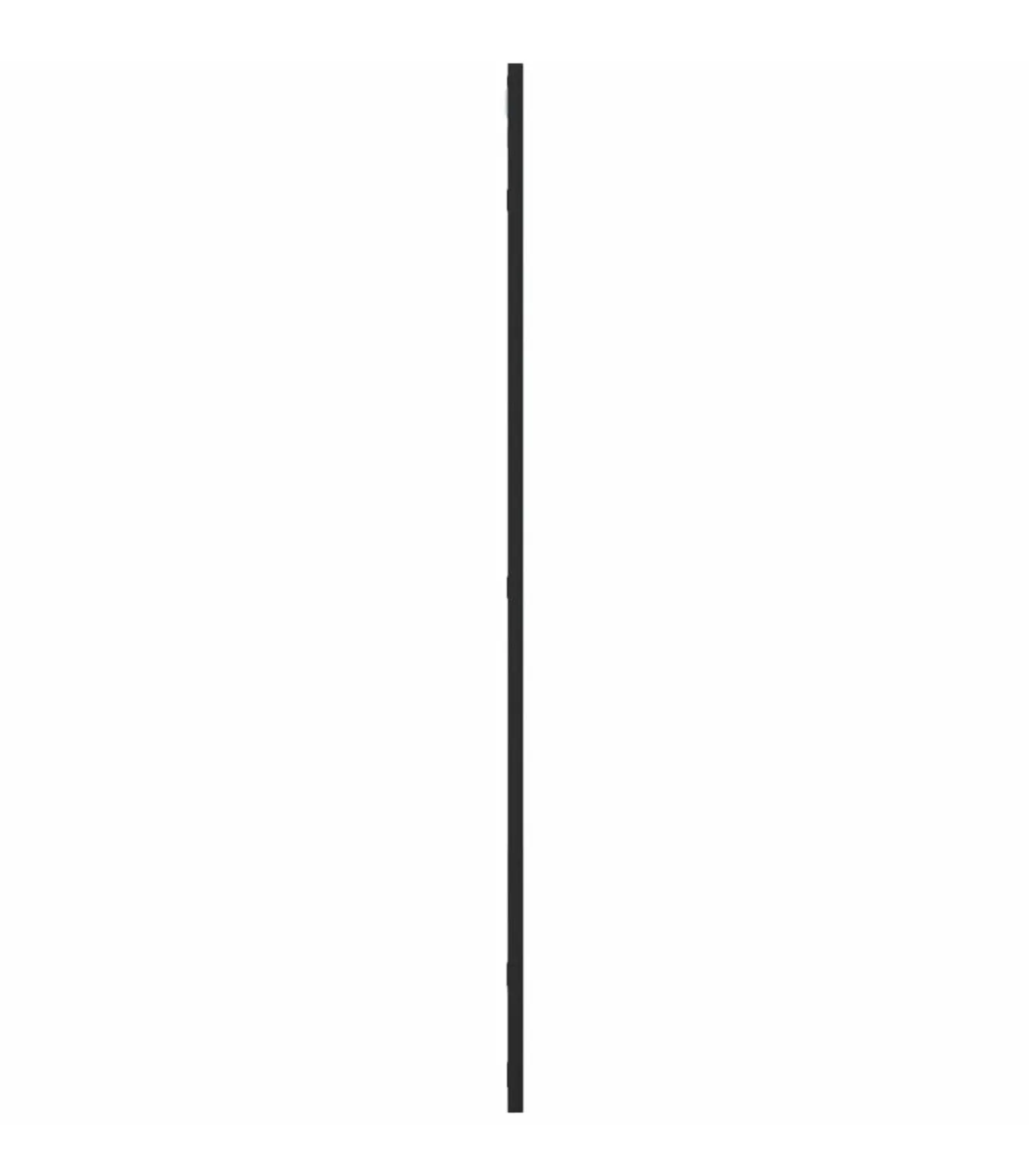 Wandspiegel rechthoekig 50x100 cm ijzer zwart