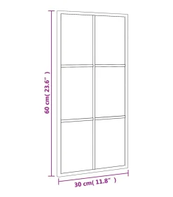 Wandspiegel rechthoekig 30x60 cm ijzer zwart