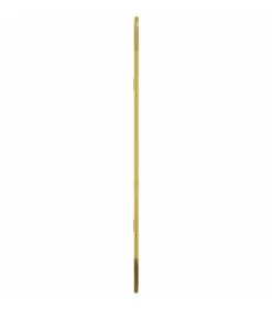 Wandspiegel 50x20 cm ovaal goudkleurig