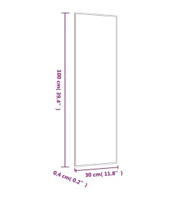 Wandspiegel 30x100 cm rechthoekig glas