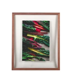 WINDOW Fotokader 50x60