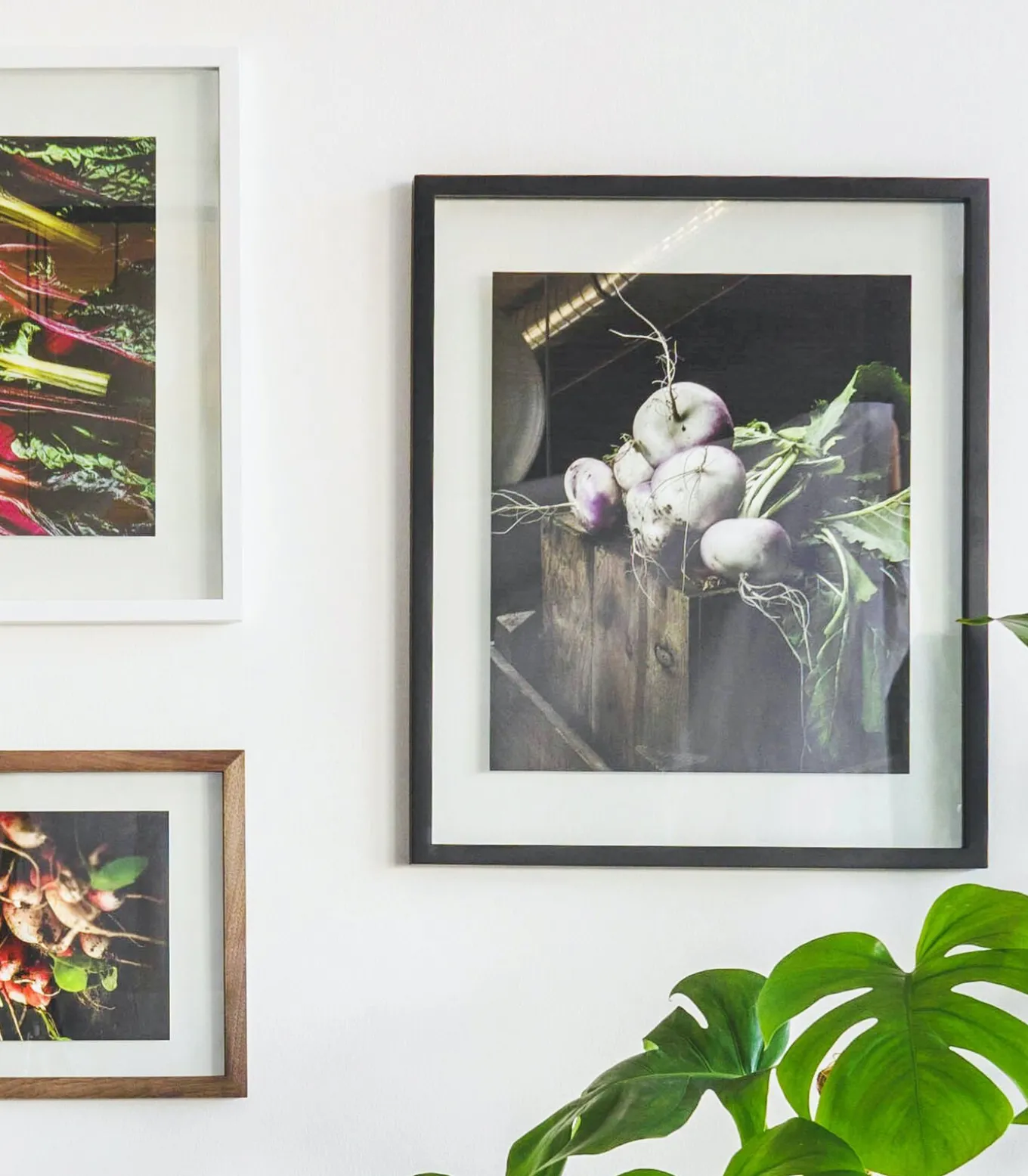 WINDOW Fotokader 50x60