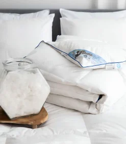 Zwaar Dons Winter Dekbed